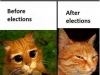 before-and-afetr-elections