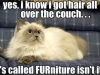 furniture