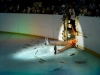 go-ice-skating-outdoor
