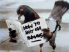 how-to-shit-on-people