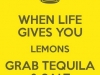 when-life-gives-you-lemons