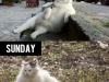 when-the-weekend-comes