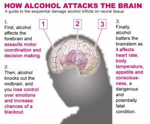 alcohol-the-brain
