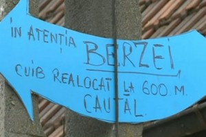 barza