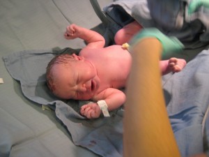 bebe
