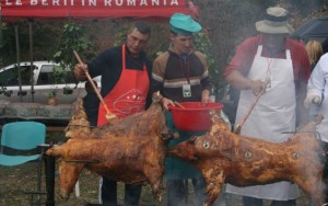 vanatori