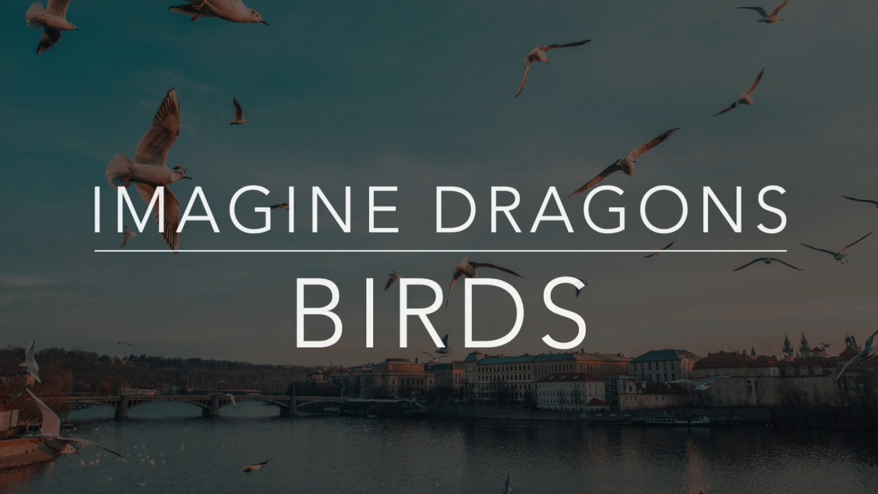 birds