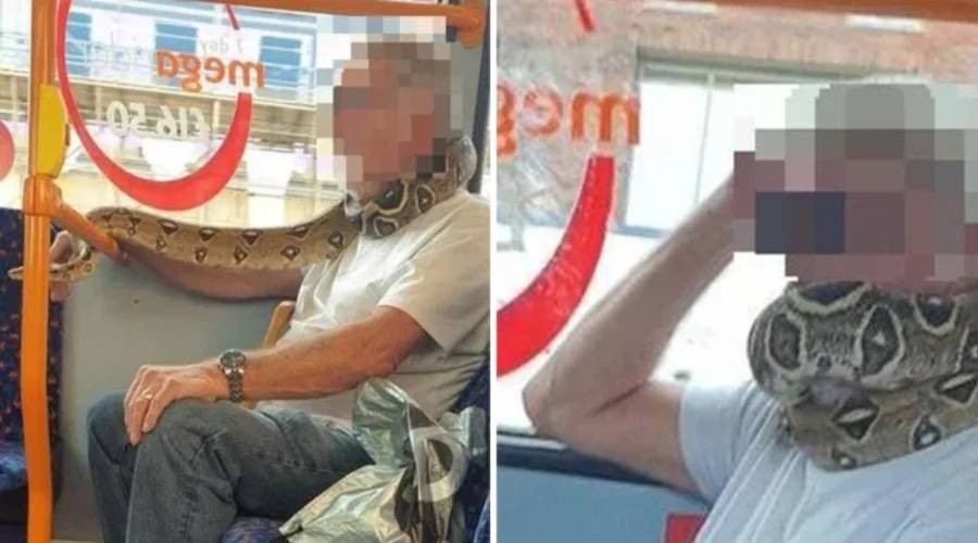 boa autobuz